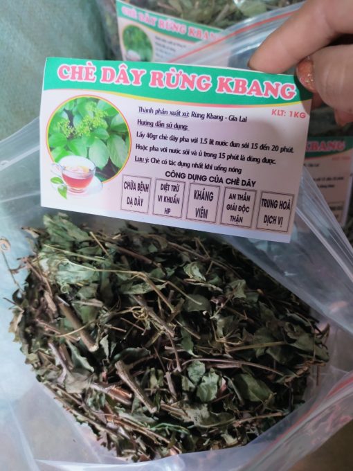 Chè dây rừng